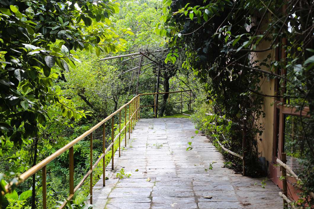 Woman walking forest path through the campus