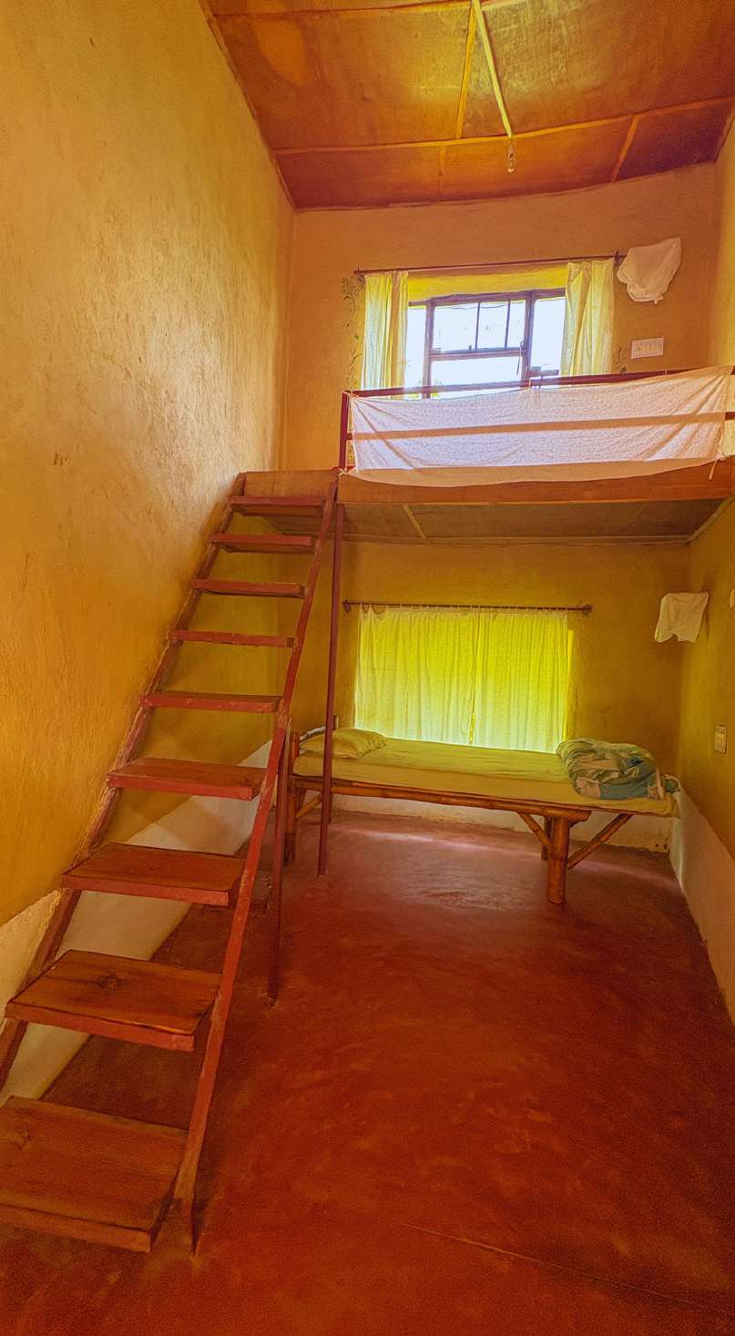 Deluxe room interior with large wooden windows and forest views
